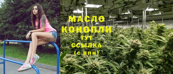 гидра Вяземский