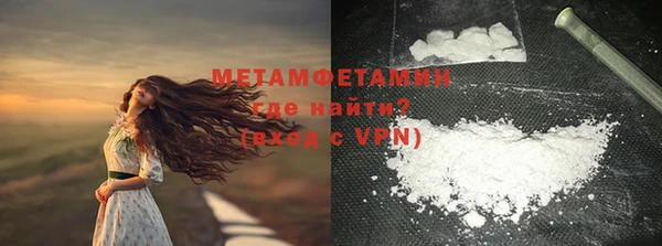 гидра Вяземский
