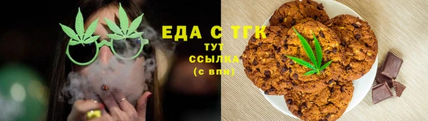 гидра Вяземский