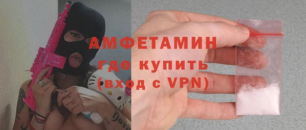 стаф Вязьма