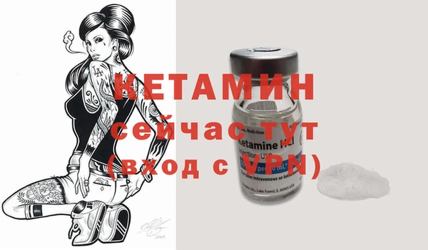 ПСИЛОЦИБИНОВЫЕ ГРИБЫ Сясьстрой