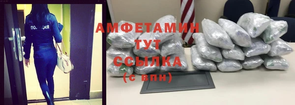 стаф Вязьма