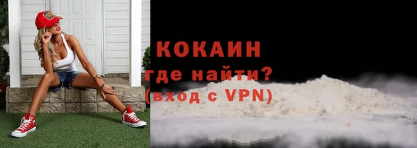 гидра Вяземский