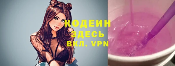 стаф Вязьма