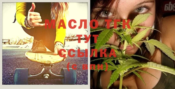 гидра Вяземский
