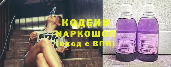 стаф Вязьма