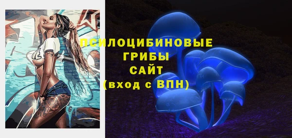 гидра Вяземский