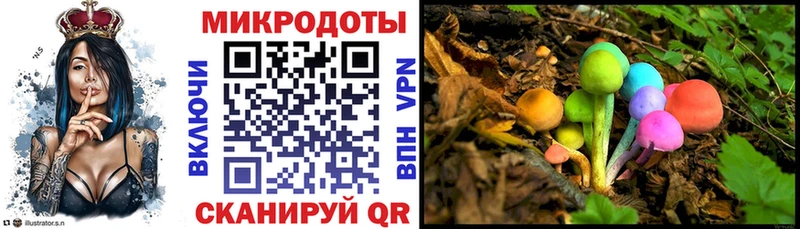 Галлюциногенные грибы Psilocybe  где купить наркоту  Новоржев 