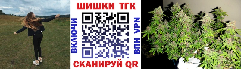 как найти наркотики  мега сайт  Шишки марихуана Amnesia  Новоржев 